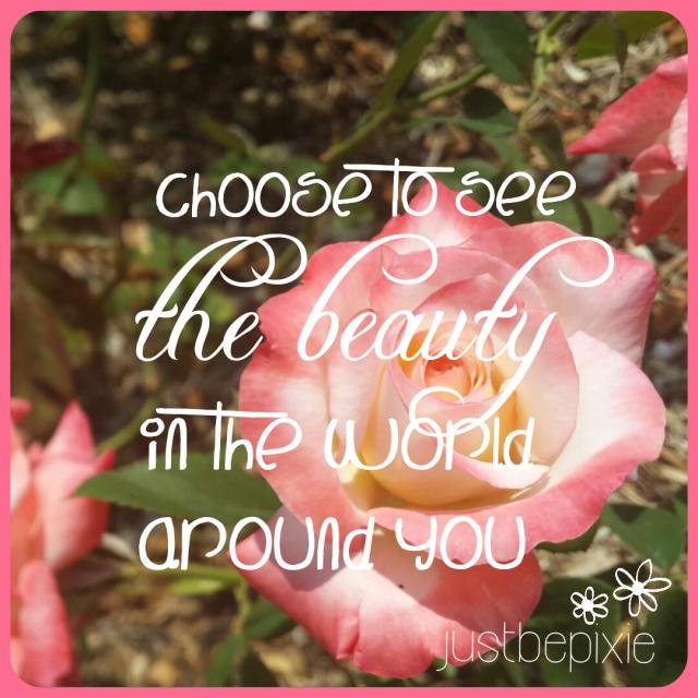 choose to see the beauty 